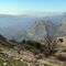 Ruta senderista. Subida al Pico del Vilo (ALFARNATE)