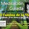 MeditaciÃ³n Guiada -El Camino de la Vida-