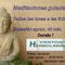 creación grupo de meditación. Torremolinos