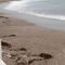 Tomar un café mirando al mar cerca de Torrequebrada