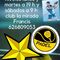 Padel pull mixta sin niveles todos los lunes y martes a 19 h y sabados a 9 h 