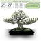Exposición de Bonsai, charlas, mercadillo, RUB asociación de Bonsai en Málaga 