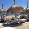 Marbella Friends- Tapas-