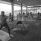 Lección gratuita de yoga y meditación para principiantes