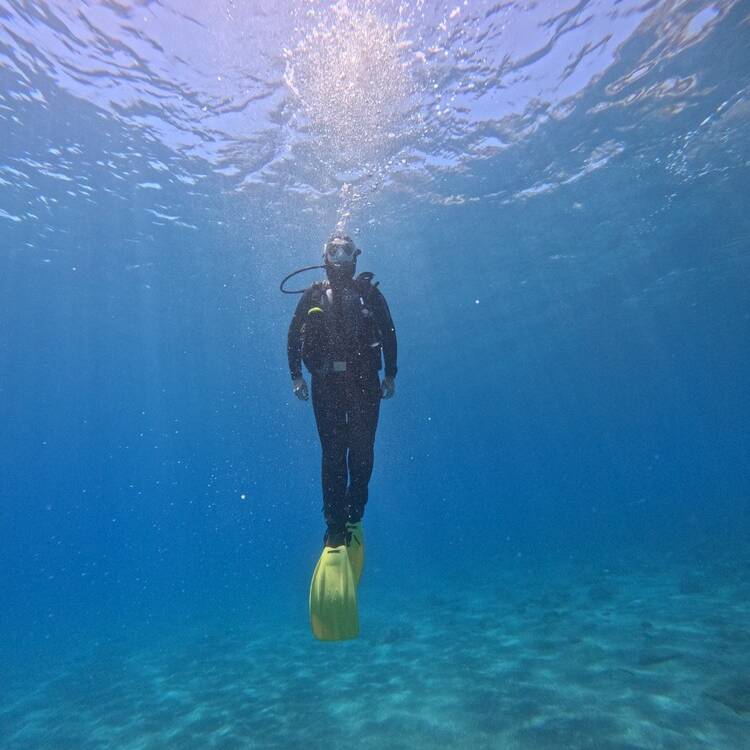 Foto de perfil de vero