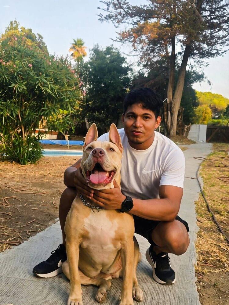 Foto de perfil de Alfredo
