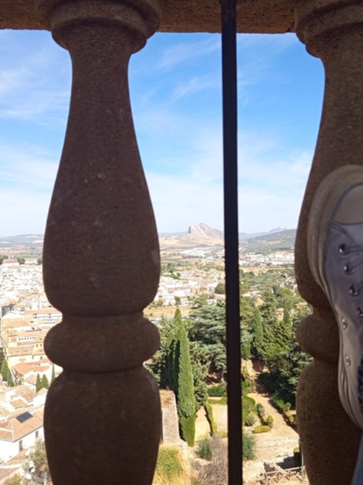 Foto de perfil de María Victoria