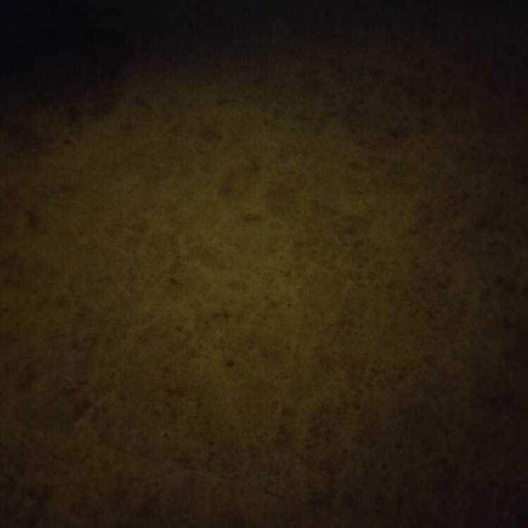 Foto de perfil de Gayou