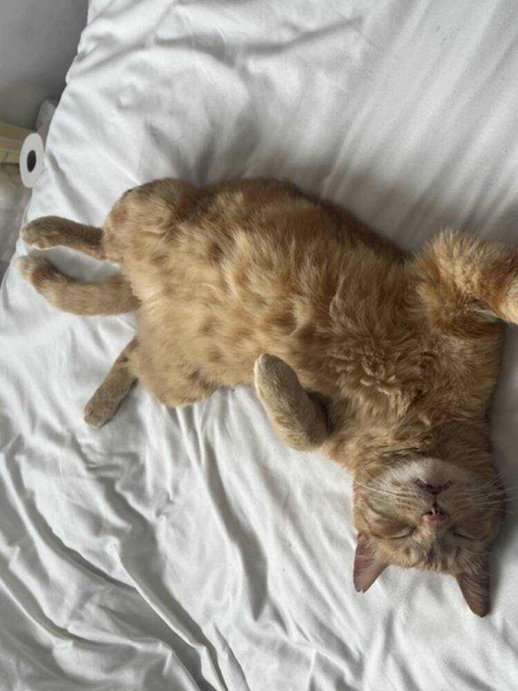 Foto de perfil de Telma