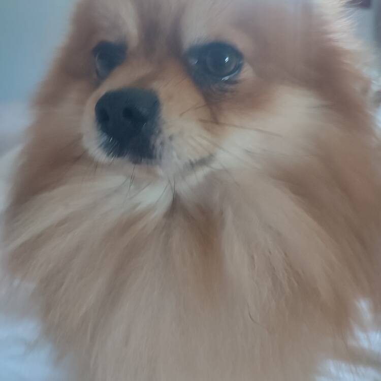 Foto de perfil de Julia