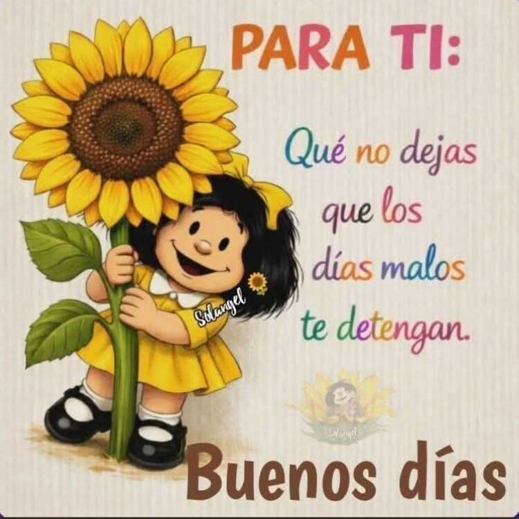 Foto de perfil de Toñi