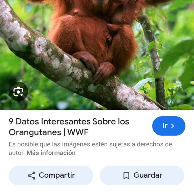 Foto de perfil de cándido zílez zánchez