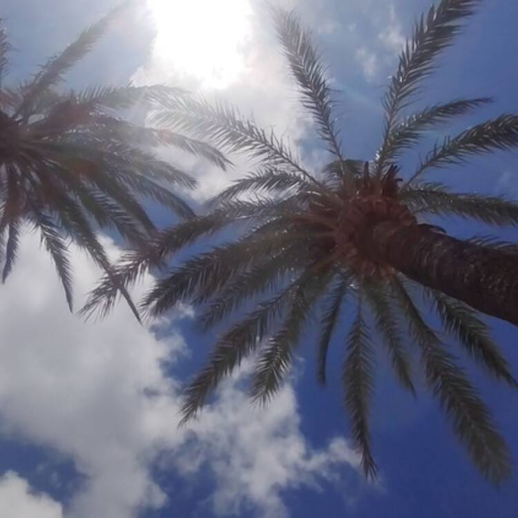 Foto de perfil de Carolina