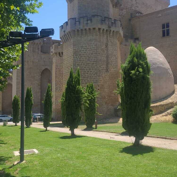 Foto de perfil de Maribel