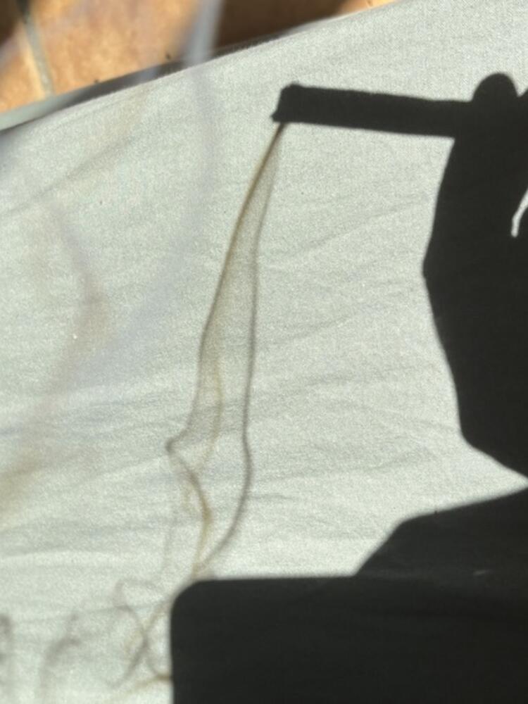 Foto de perfil de Maia
