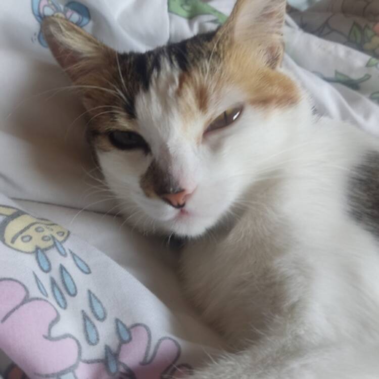 Foto de perfil de natalia