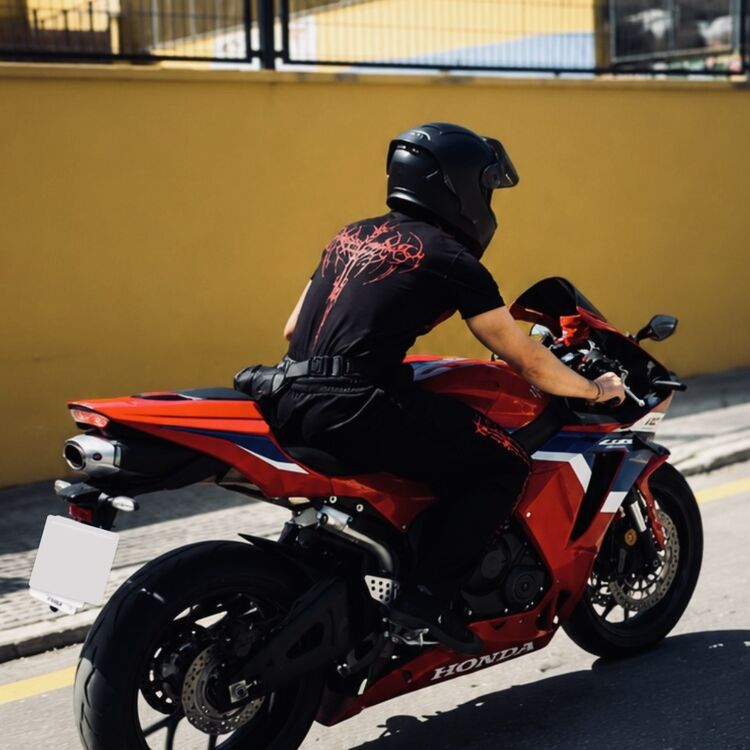 Foto de perfil de Mateo Tamayo