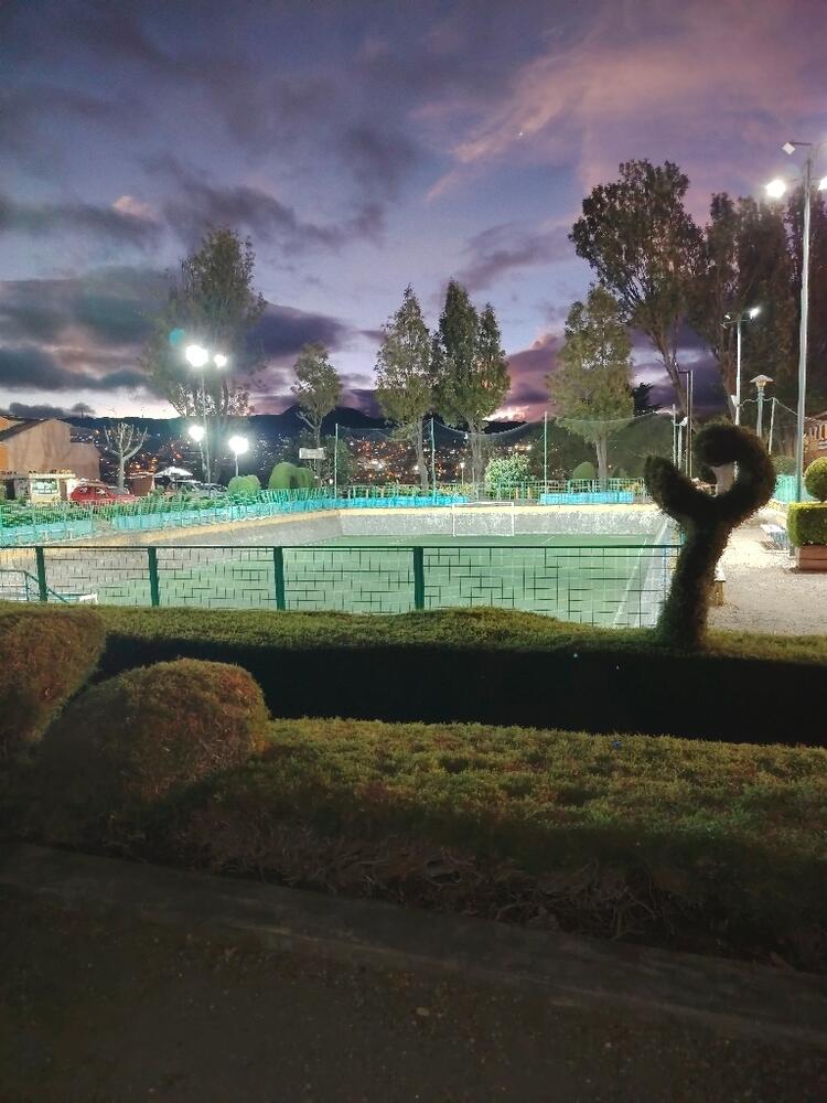 Foto de perfil de Cristina