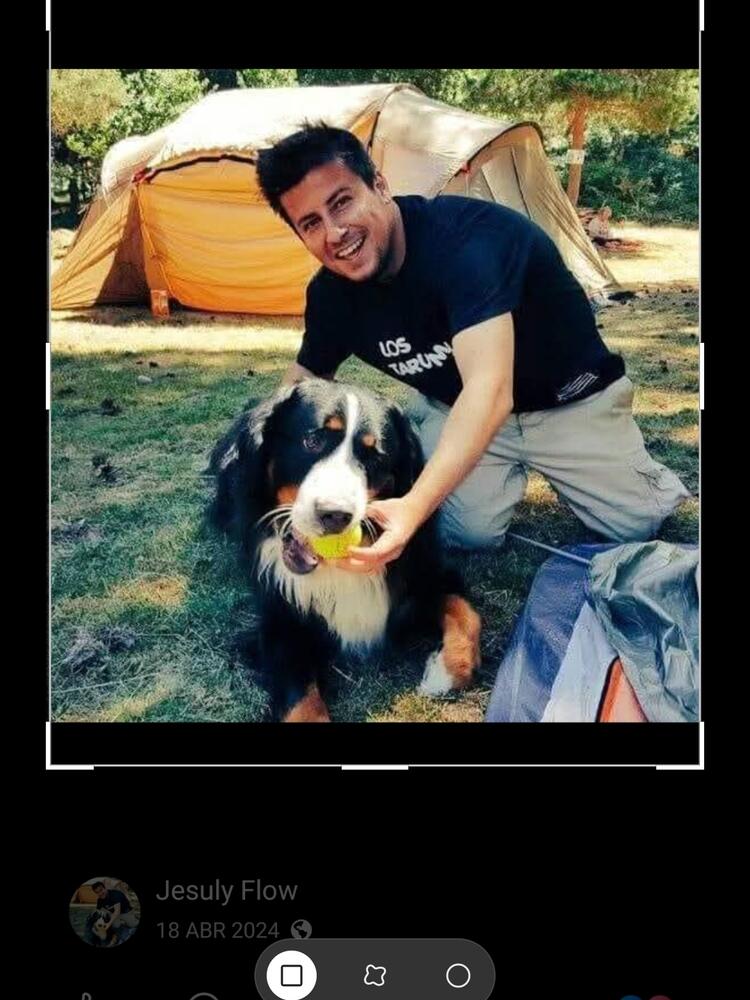 Foto de perfil de Jesuly