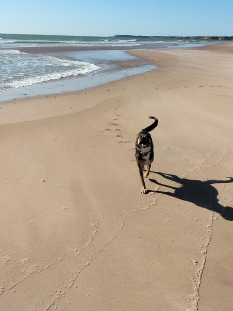 Foto de perfil de Fran